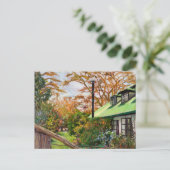 Carte Postale Jardin kenyan 2012 (Debout devant)