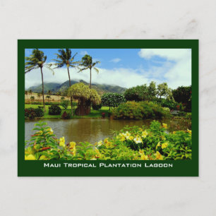 Carte Postale Jardin lagunaire de la plantation tropicale de Mau