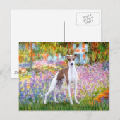 Carte Postale Jardin - Lévrier Italien 7 (Devant / Derrière)