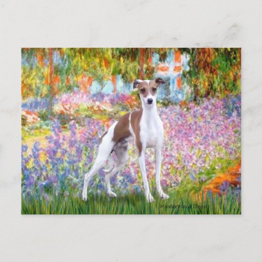 Carte Postale Jardin - Lévrier Italien 7 (Devant)