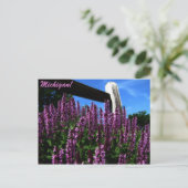 Carte Postale Jardin Lupine (Debout devant)
