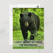 Carte Postale Jardin Ours Noir "Ne peut pas s'entendre pour part (Devant / Derrière)