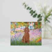 Carte Postale Jardin - Poodle rouge foncé #1 (Debout devant)