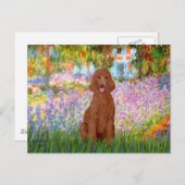 Carte Postale Jardin - Poodle rouge foncé #1 (Devant / Derrière)