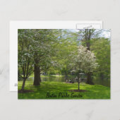 Carte Postale Jardin public de Boston (Devant / Derrière)