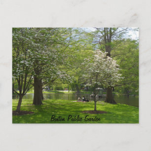 Carte Postale Jardin public de Boston