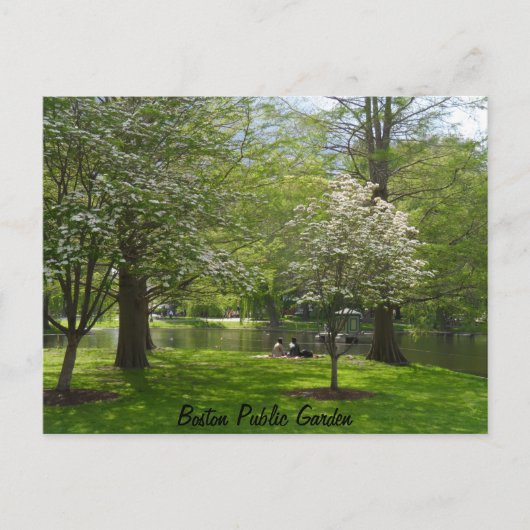 Carte Postale Jardin public de Boston (Devant)