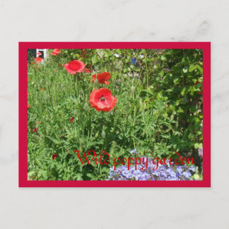 Carte Postale Jardin sauvage de pavot