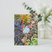 Carte Postale Jardin succulent et vibre (Debout devant)
