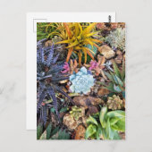 Carte Postale Jardin succulent et vibre (Devant / Derrière)