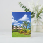 Carte Postale Jardin tropical (Debout devant)
