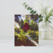 carte postale jardin zen (Debout devant)