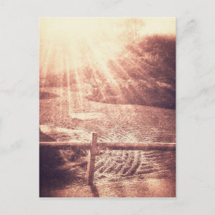 Carte Postale Jardin zen