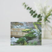 Carte Postale Jardin zen (Debout devant)