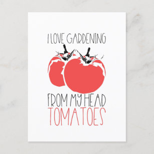 Carte Postale Jardinage des tomates