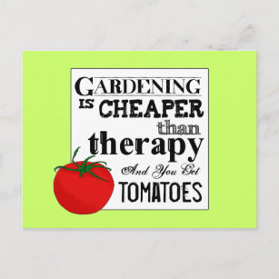 Carte Postale Jardinage = Thérapie + Tomates