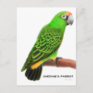 Carte postale Jardines Parrot