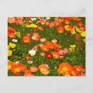 Carte Postale Jardins botaniques