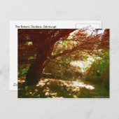 Carte Postale Jardins botaniques (Devant / Derrière)