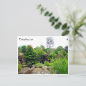 Carte Postale jardins botaniques de canberra (Debout devant)