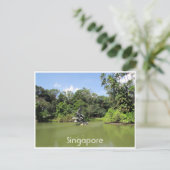 Carte Postale jardins botaniques de singapour (Debout devant)