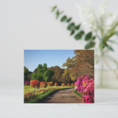 Carte Postale Jardins de Bellingrath, Alabama (Debout devant)