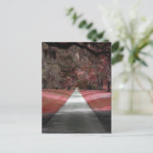 Carte Postale Jardins de Brookgreen (Debout devant)