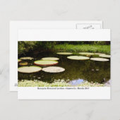 Carte Postale Jardins de Kanapaha - Gainesville 001 (Devant / Derrière)