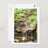 Carte Postale Jardins de Kanapaha - Gainesville 002 (Devant / Derrière)