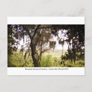 Carte Postale Jardins de Kanapaha - Gainesville 009