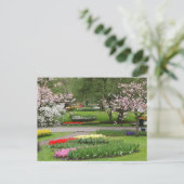 Carte Postale Jardins de Keukenhof, Pays-Bas (Debout devant)