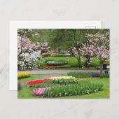 Carte Postale Jardins de Keukenhof, Pays-Bas (Devant / Derrière)