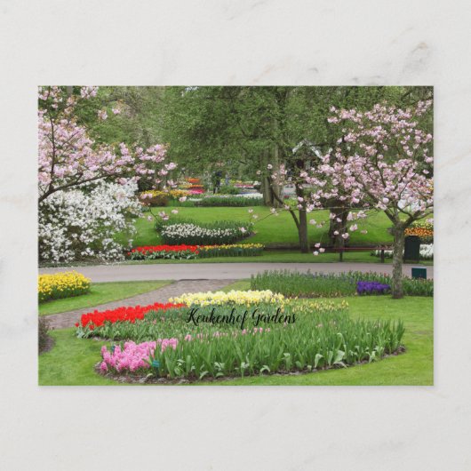 Carte Postale Jardins de Keukenhof, Pays-Bas (Devant)