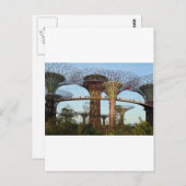 Carte Postale Jardins de la baie de Singapour de l'environnement (Devant / Derrière)