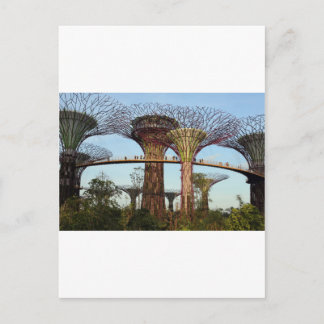 Carte Postale Jardins de la baie de Singapour de l'environnement
