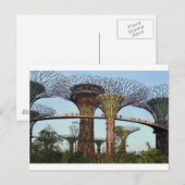 Carte Postale Jardins de la baie Singapore Supertree Grove (Devant / Derrière)