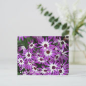 Carte Postale Jardins de Longwood, PA (Debout devant)