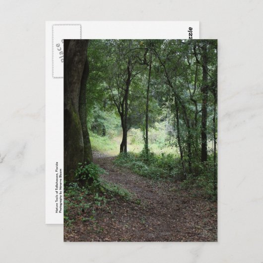 Carte Postale Jardins de Maclay (Devant / Derrière)