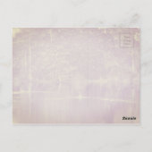 Carte Postale Jardins de Swan Lake Iris, Sumter, Caroline du Sud (Dos)