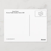 Carte Postale Jardins publics de Boston de bateaux de cygne (Dos)