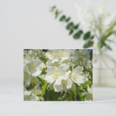 Carte postale : Jasmine (Debout devant)