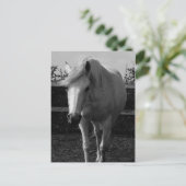 Carte Postale Jasmine (Debout devant)