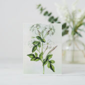 Carte Postale Jasmine, de 'La Guirlande de Julie' (Debout devant)