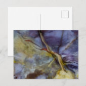 Carte Postale Jasper violet (Devant / Derrière)