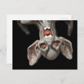 Carte Postale J'attendrai. . . (Devant / Derrière)