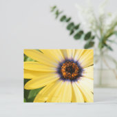 Carte Postale Jaune (Debout devant)