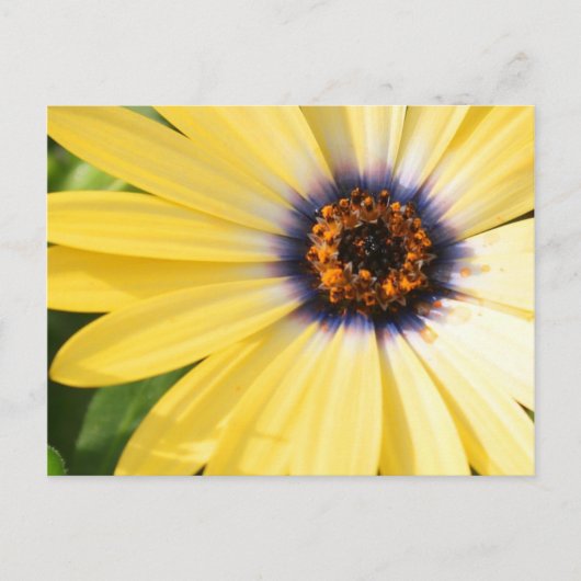 Carte Postale Jaune (Devant)