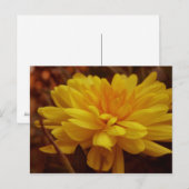 Carte postale jaune (Devant / Derrière)