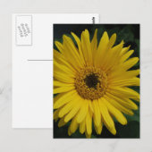 Carte postale Jaune (Devant / Derrière)