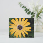 Carte postale Jaune (Debout devant)